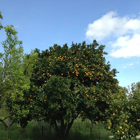 La Casina Del Huerto בית נופש
